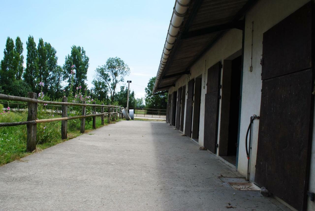 Ecurie De La Grange L'Abbe Apartman Le Langon Kültér fotó